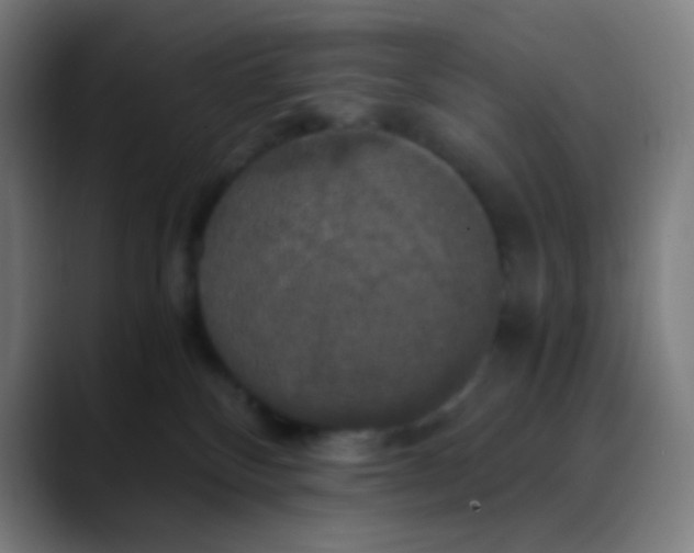 X0000089730136200707121456
