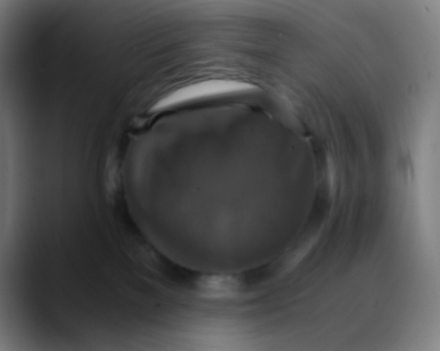 X0000089730137200707121456