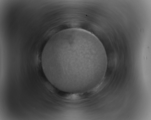 X0000089730140200707121456