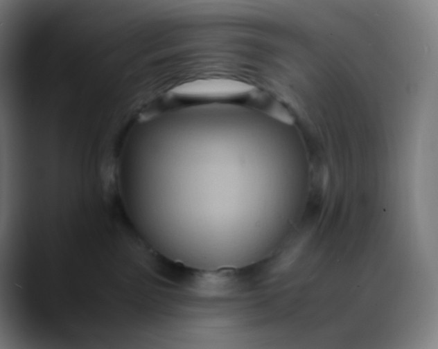 X0000089730141200707121456