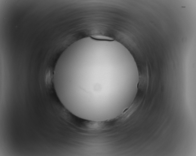 X0000089730142200707121456