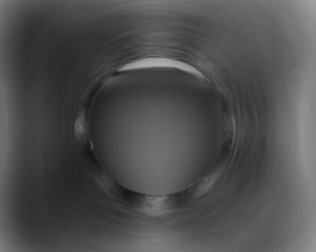 X0000089730143200707121456