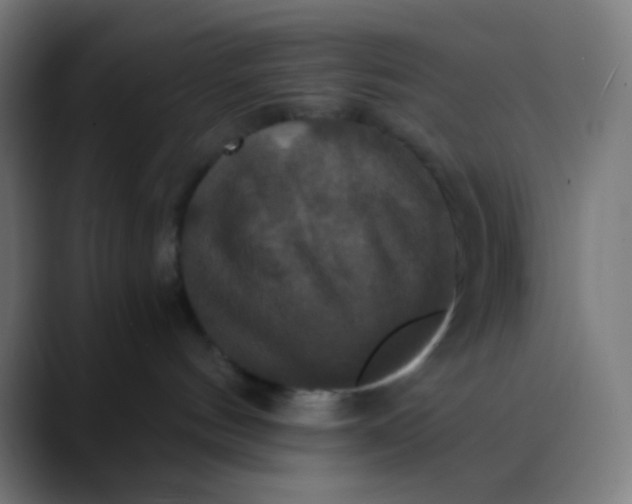 X0000089730144200707121456