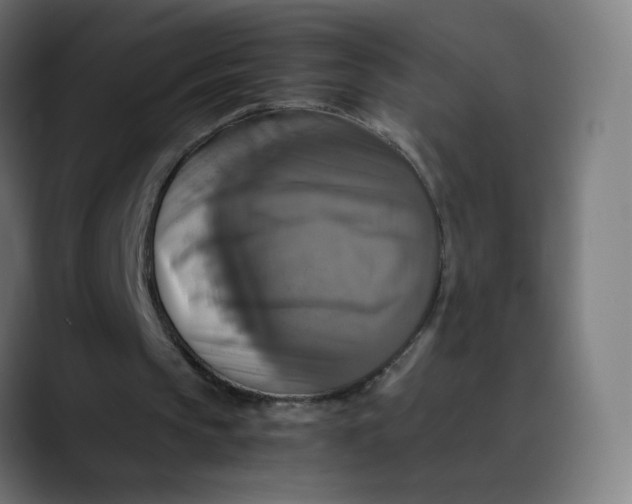 X0000089730145200707121455