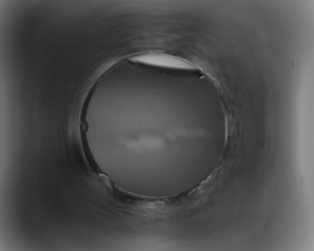 X0000089730147200707121455