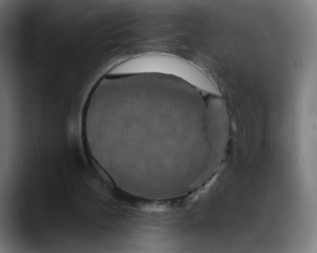 X0000089730148200707121455