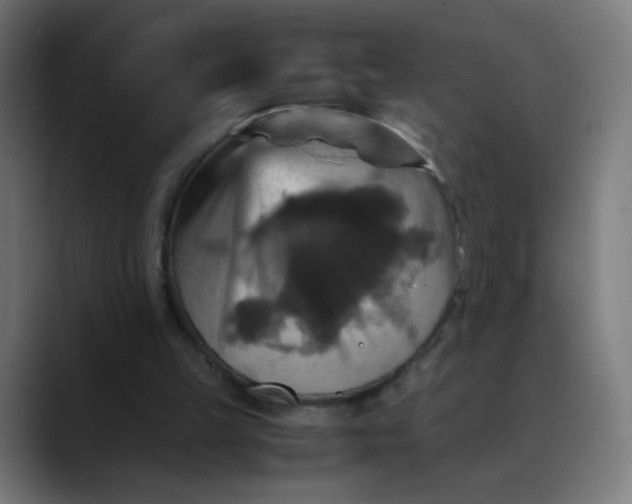 X0000089730149200707121455