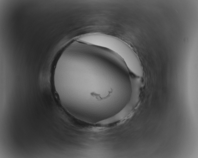 X0000089730150200707121455