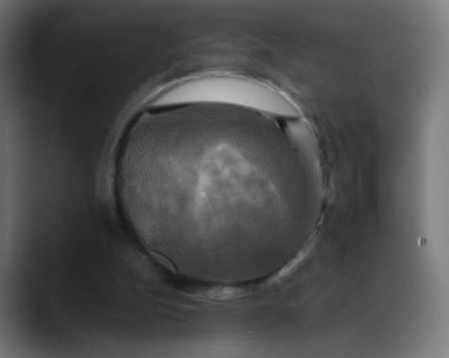 X0000089730152200707121455