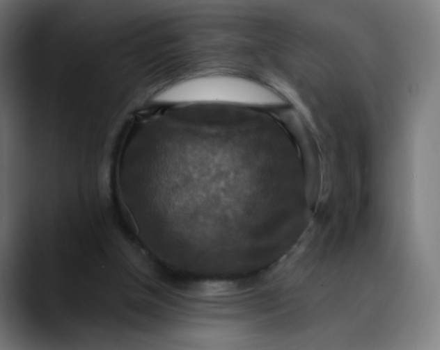 X0000089730154200707121455