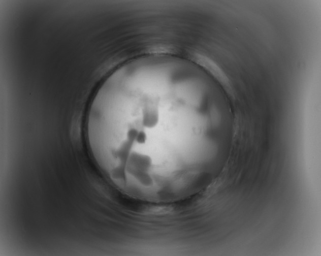 X0000089730155200707121455
