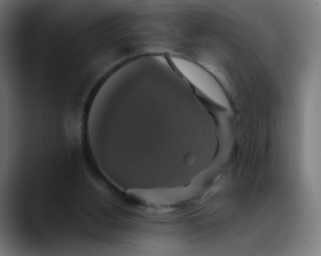 X0000089730156200707121455