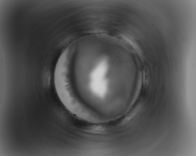 X0000089730157200707121455