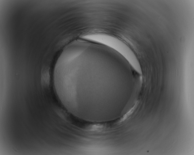 X0000089730158200707121455