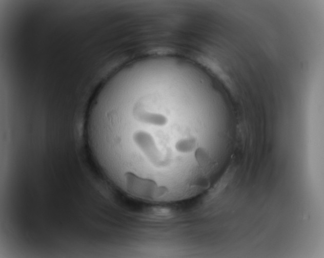 X0000089730159200707121455