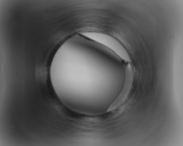 X0000089730160200707121455