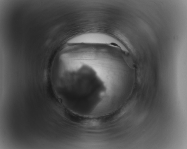 X0000089730161200707121455