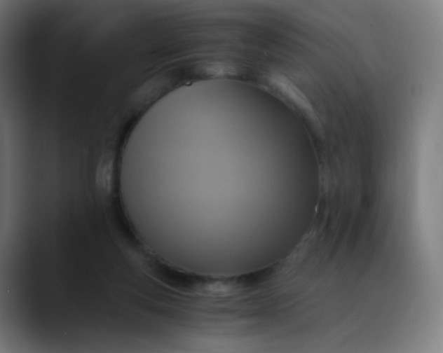 X0000089730163200707121455