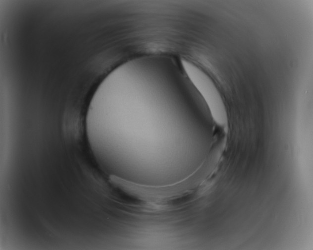 X0000089730164200707121455