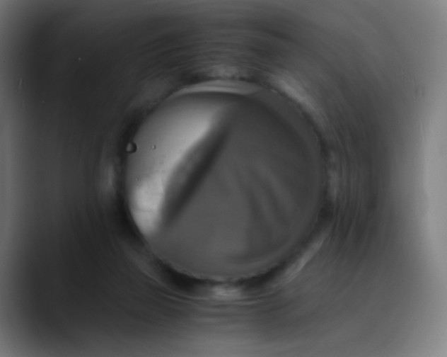 X0000089730165200707121455