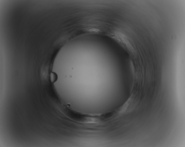 X0000089730167200707121455