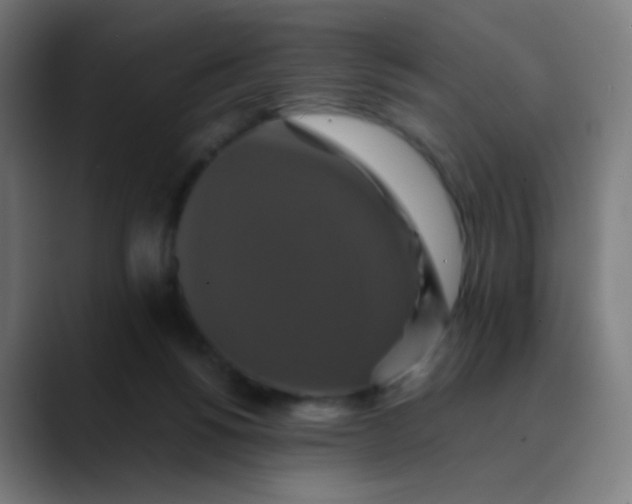 X0000089730168200707121455