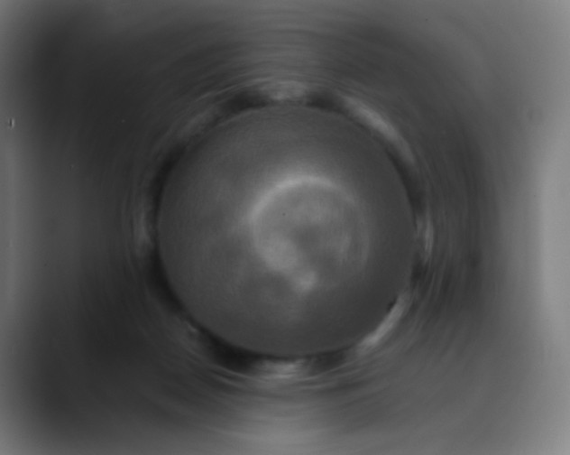 X0000089730170200707121456