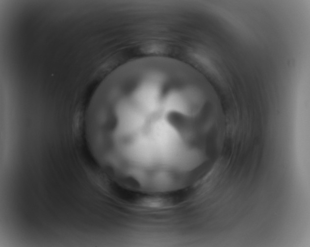 X0000089730171200707121456