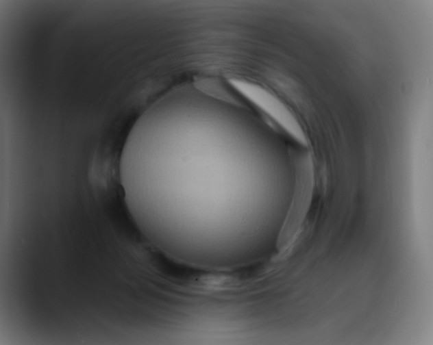X0000089730172200707121456