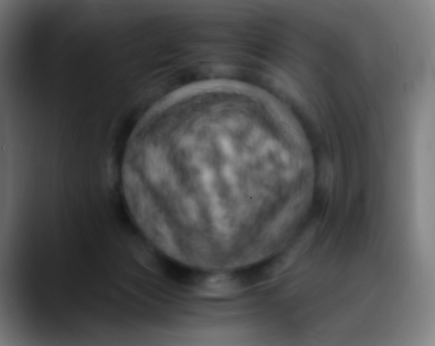 X0000089730173200707121456