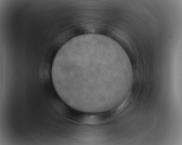 X0000089730174200707121456