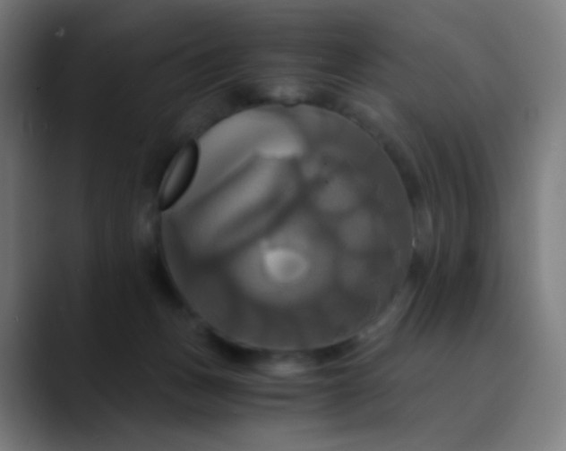 X0000089730175200707121456