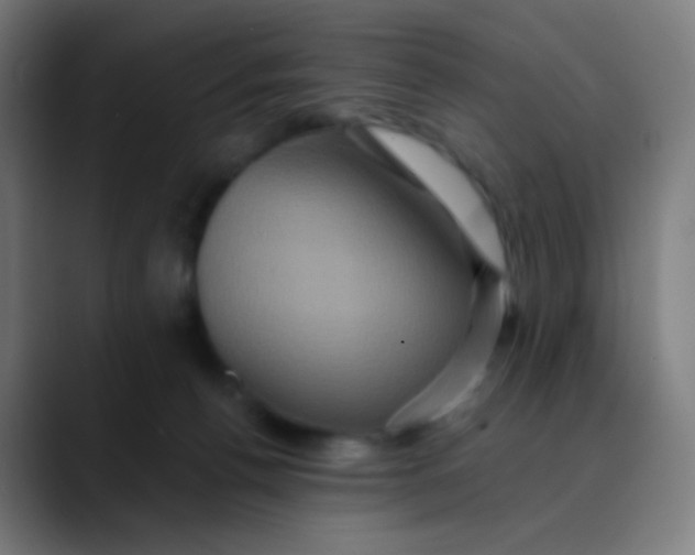 X0000089730176200707121456