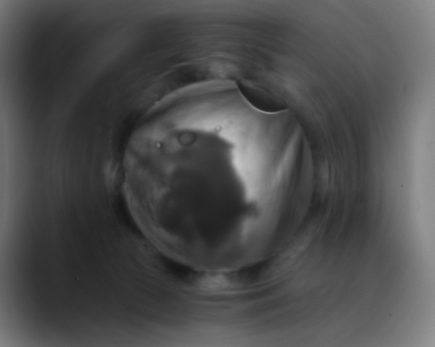 X0000089730177200707121456