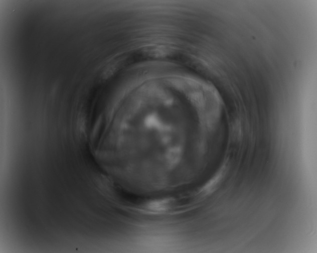 X0000089730178200707121456