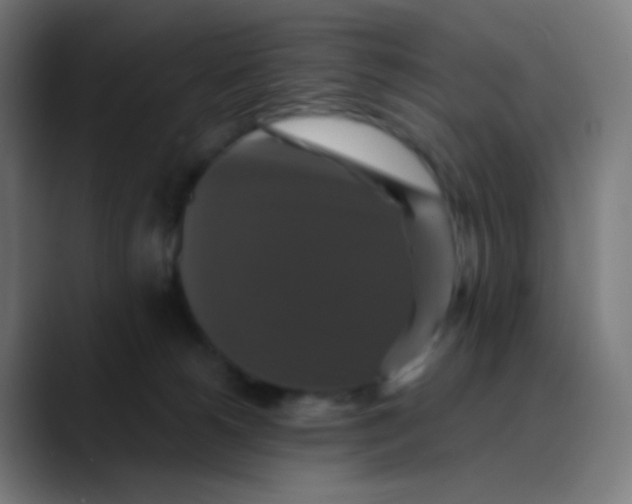 X0000089730180200707121456