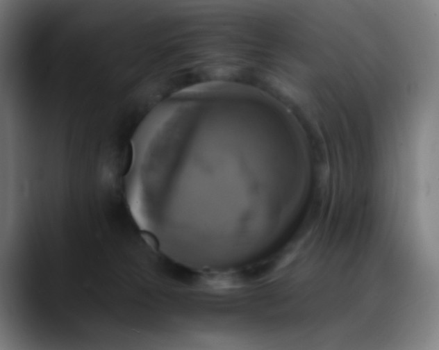 X0000089730181200707121456