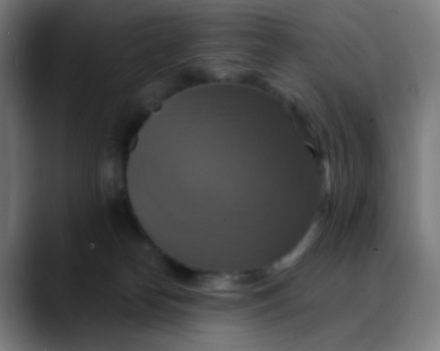 X0000089730182200707121456