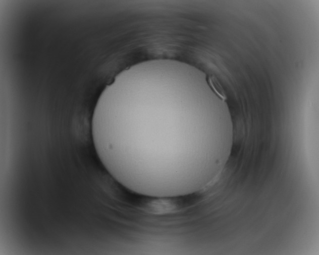 X0000089730183200707121456
