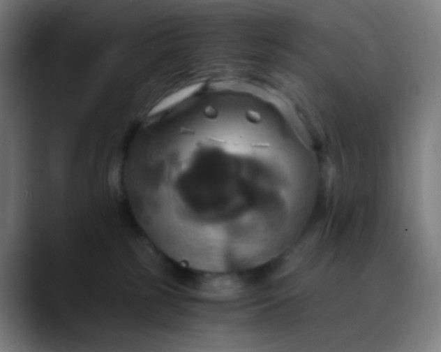 X0000089730185200707121456