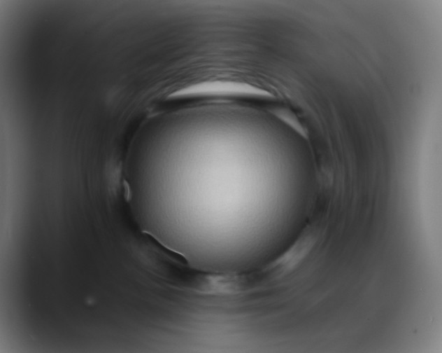 X0000089730188200707121456