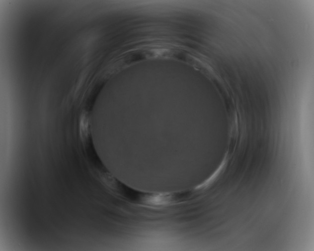 X0000089730191200707121456