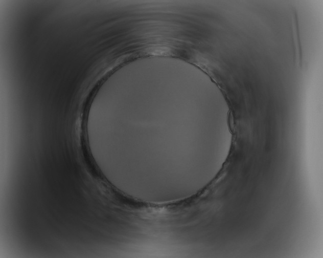 X0000089730194200707121455