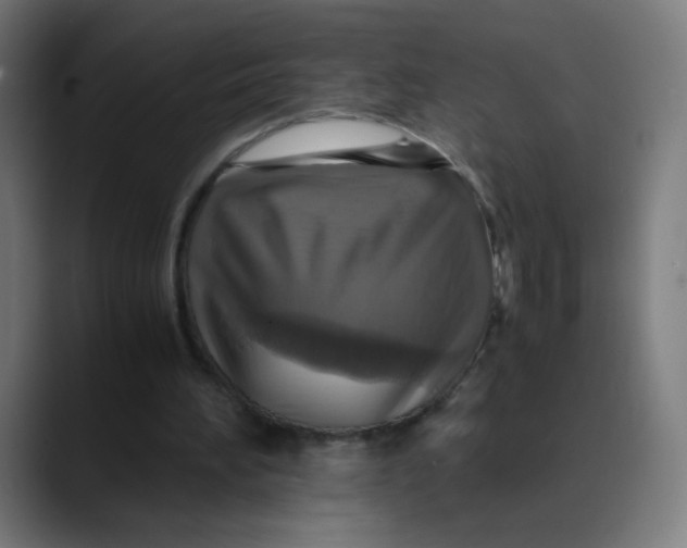 X0000089730196200707121455