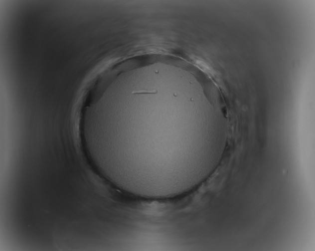 X0000089730197200707121455
