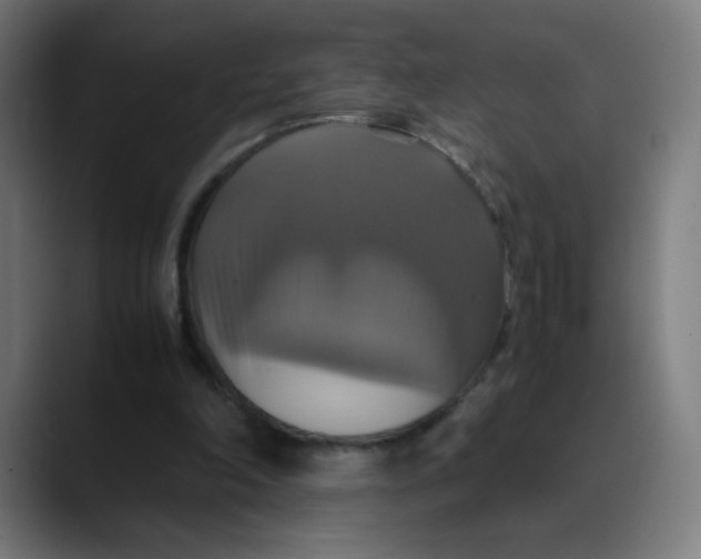 X0000089730198200707121455