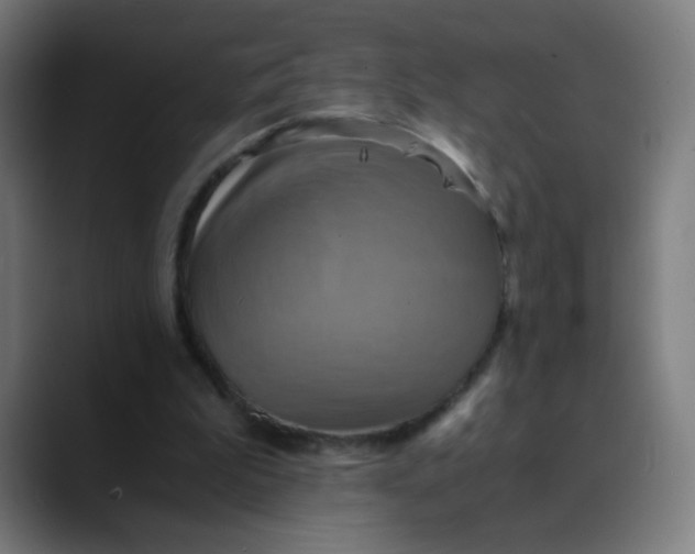 X0000089730199200707121455