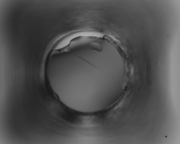 X0000089730200200707121455
