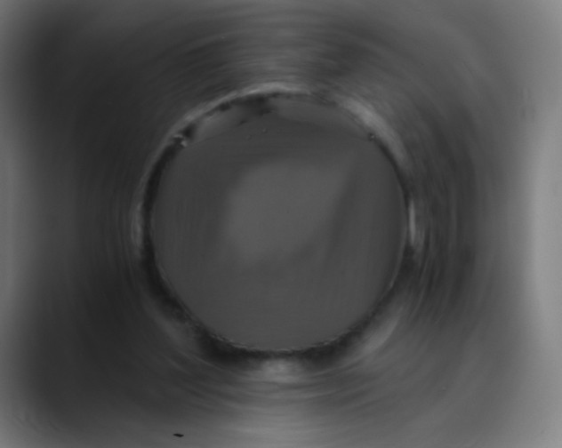 X0000089730204200707121455