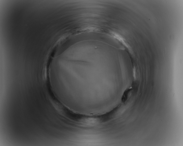 X0000089730205200707121455